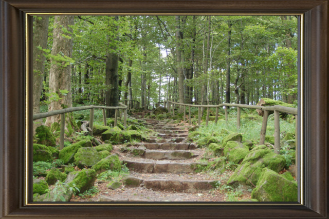 Foto vom Rückblick 2008