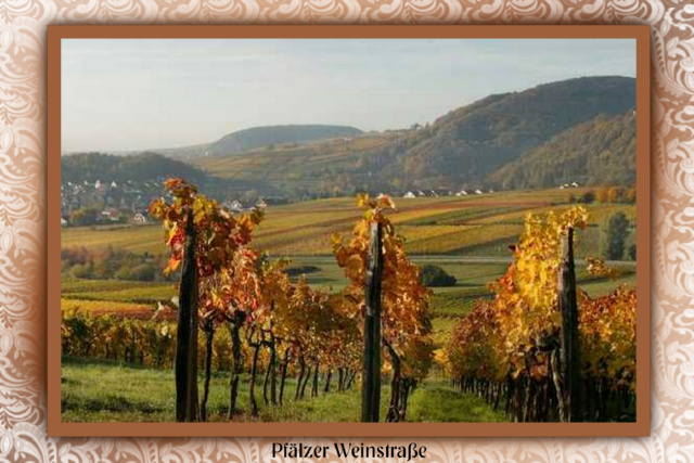 Foto vom Rückblick 2009