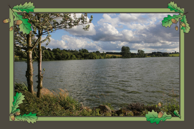 Foto vom Rückblick 2014