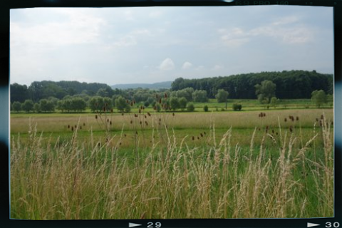 Foto vom Rückblick 2018