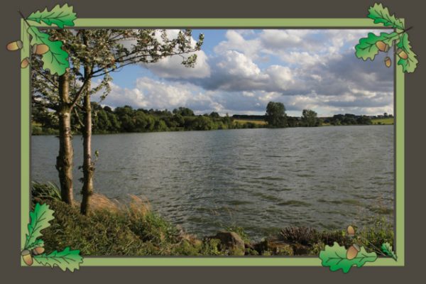 Foto vom Rückblick 2014