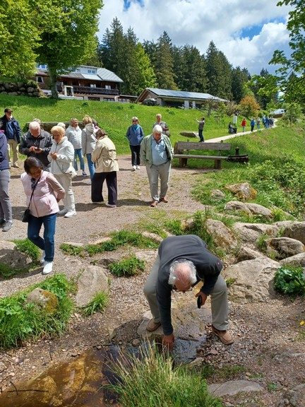 Foto vom Rückblick 2025