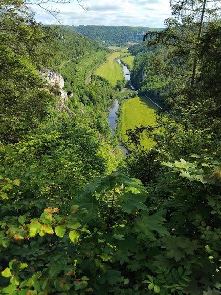 Foto vom Rückblick 2025