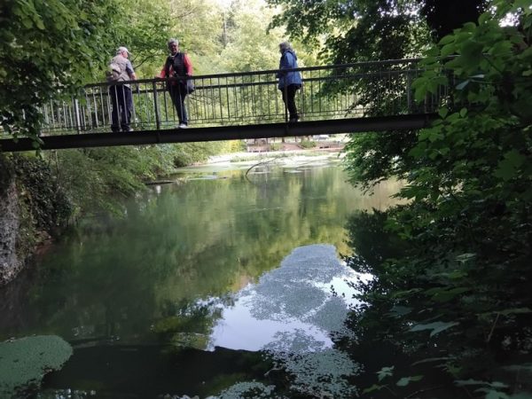 Foto vom Rückblick 2025