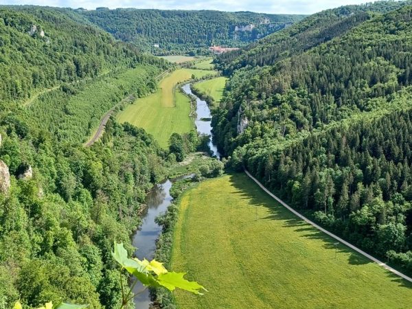 Foto vom Rückblick 2025