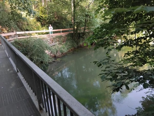 Foto vom Rückblick 2025