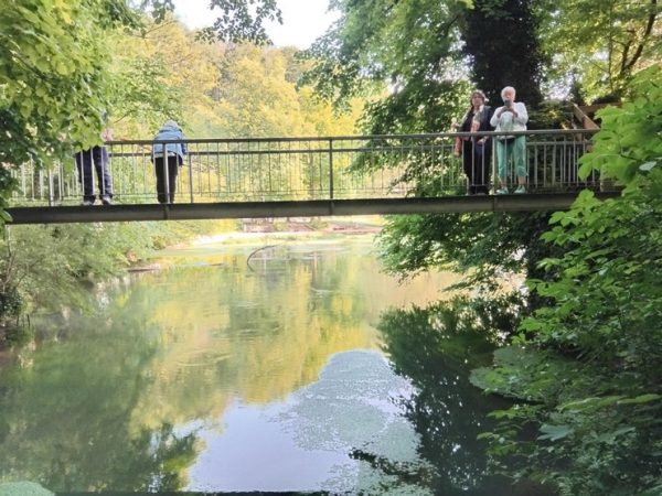 Foto vom Rückblick 2025