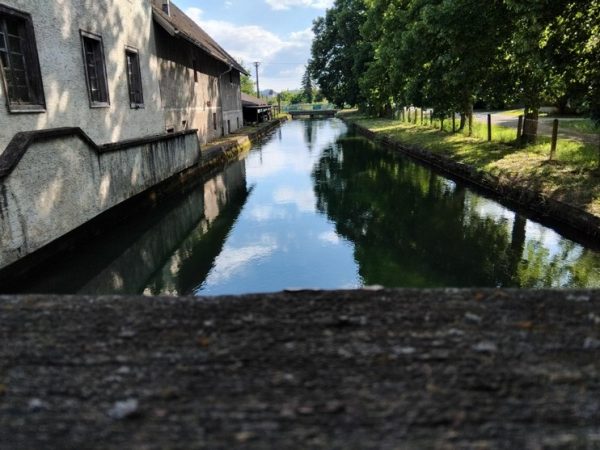 Foto vom Rückblick 2025