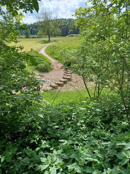 Foto vom Rückblick 2025