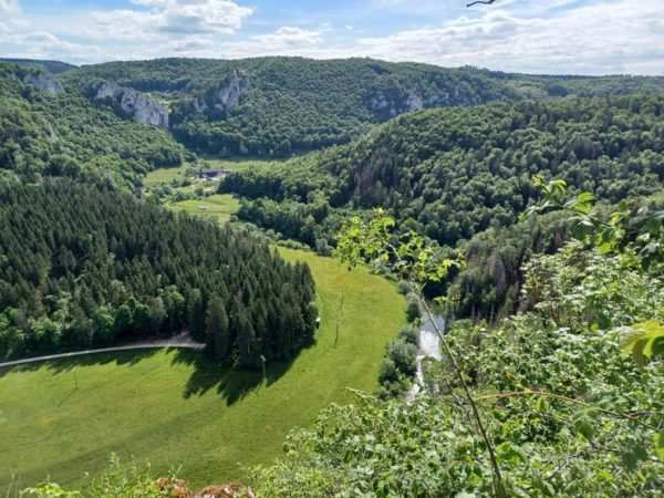 Foto vom Rückblick 2025